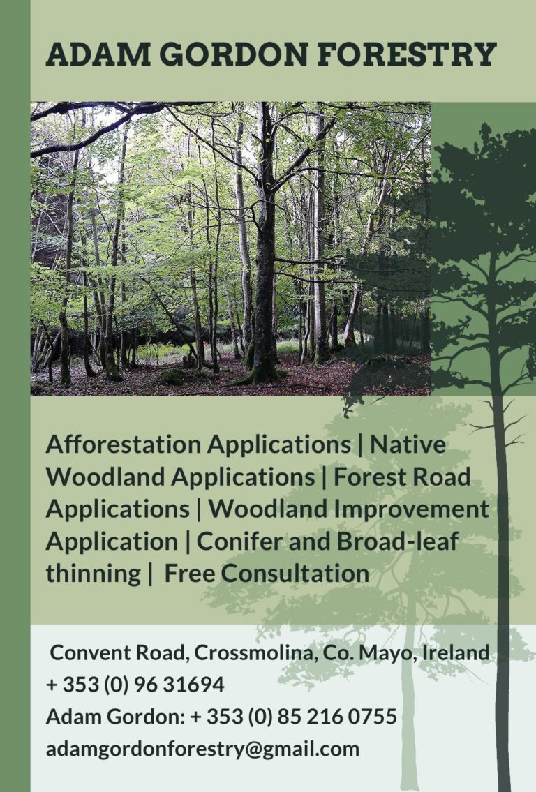 Adam Gordon Forestry_88x130_v01_1