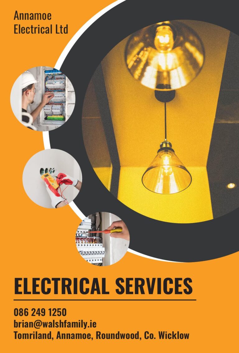 Annamoe Electrical Ltd_ 88x133_ v02_1
